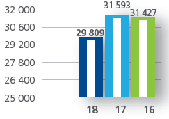 Revenue (Rm)